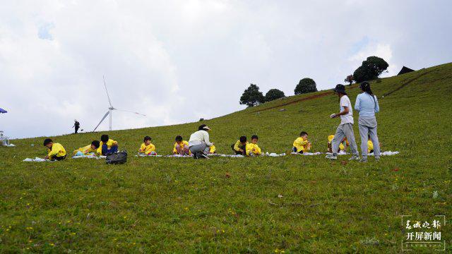 金螳螂最新动态，自然美景探索之旅的心灵洗涤与觉醒