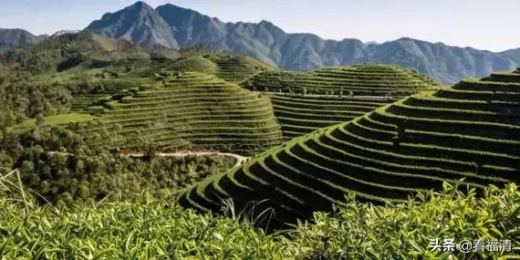 福清市最新新闻探索自然美景之旅，追寻内心平和的旅程
