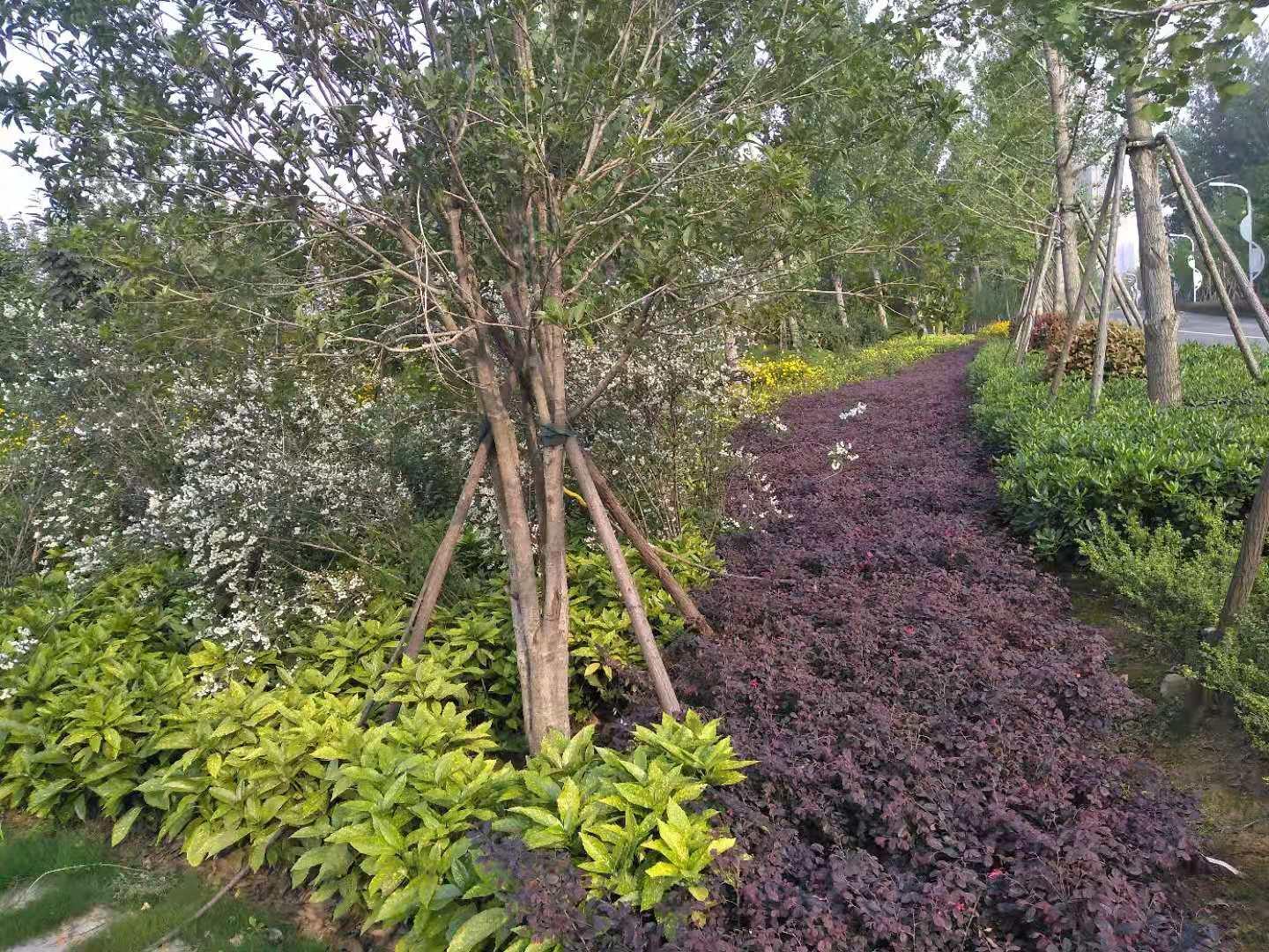 探索自然美景 第11页