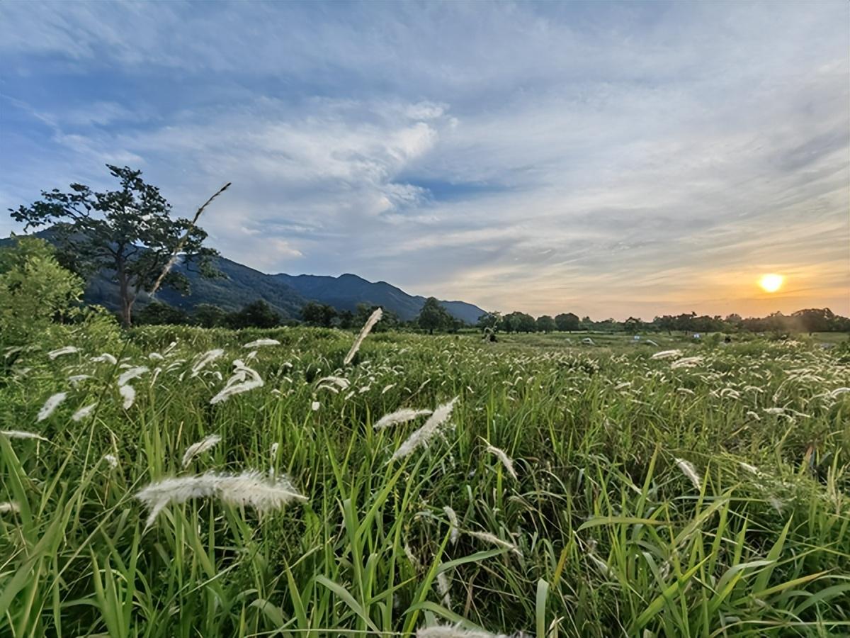 秦镇最新动态，自然美景探索之旅，寻觅内心平和与宁静