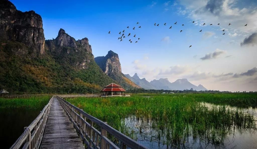 皇派门窗最新事件，自然美景探索之旅，唤醒内心平静的力量