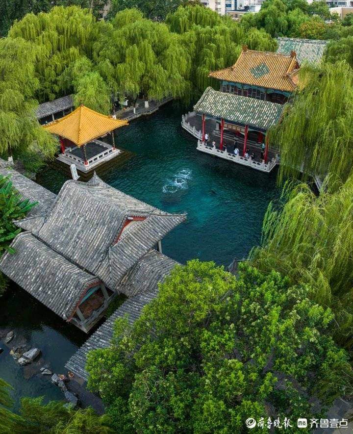 济南圣泉最新动态，自然美景探索之旅，寻找内心平和的启程